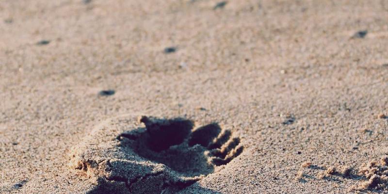 从匠心产品到城市理想：解码金茂集团品牌价值跃迁的社会认同密码