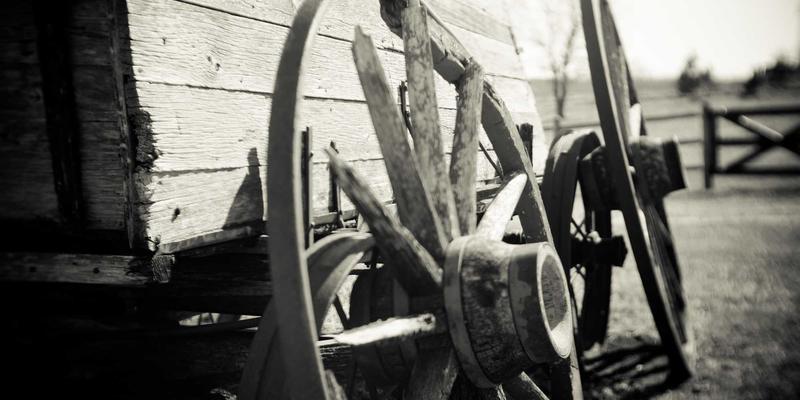 从“地产精英”到“城市运营商”：解码金茂集团人才战略如何重塑组织基因