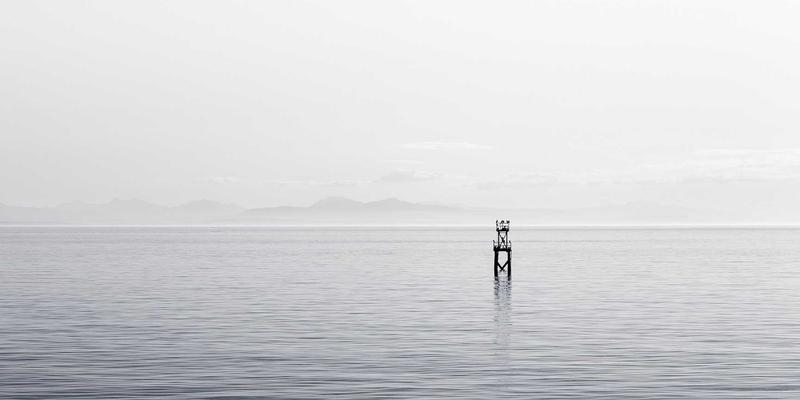 从绿色建筑到智慧服务：金茂集团如何在行业波动中构建坚不可摧的品牌声誉护城河