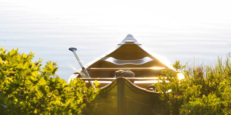 从绿色建筑到智慧生态：解码金茂集团如何用物联网与大数据重塑高端住宅体验
